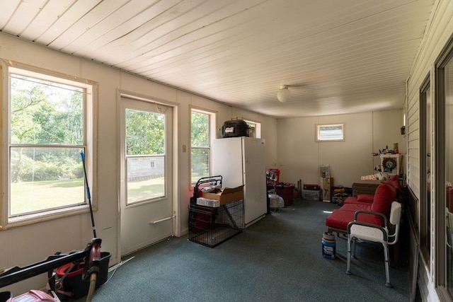 780 Pulver List Rd, Mansfield, OH 44905 - living area featuring carpet flooring