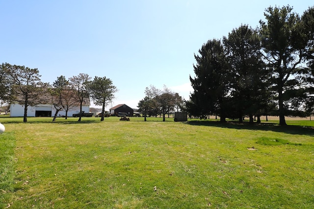 11914 State Route 269, Bellevue, OH 44811 - view of yard
