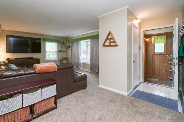 623 Bendle Ave, Shelby, OH 44875 - living area featuring carpet and baseboards