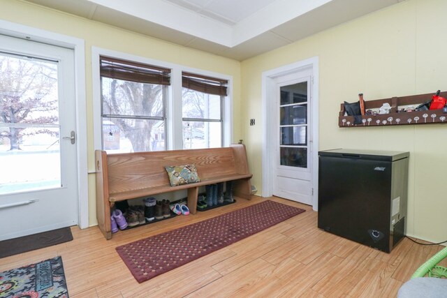 623 Bendle Ave, Shelby, OH 44875 - mudroom featuring plenty of natural light and wood finished floors