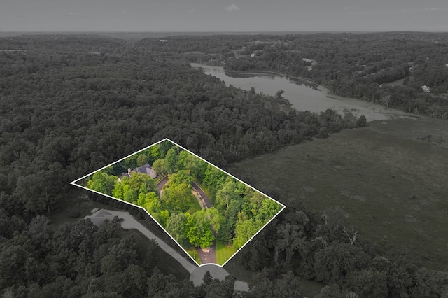 aerial view with a water view and a wooded view