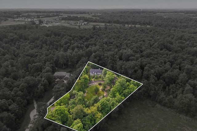 aerial view with a wooded view