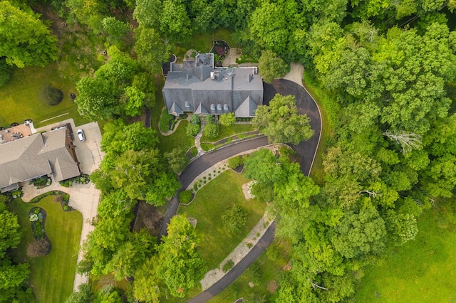 aerial view