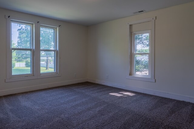 1676 Old Delaware Rd, Mount Vernon, OH 43050 - carpeted empty room with plenty of natural light