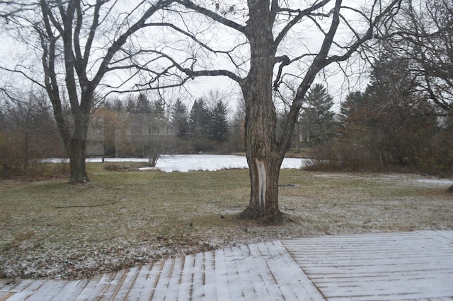 view of yard with a wooden deck