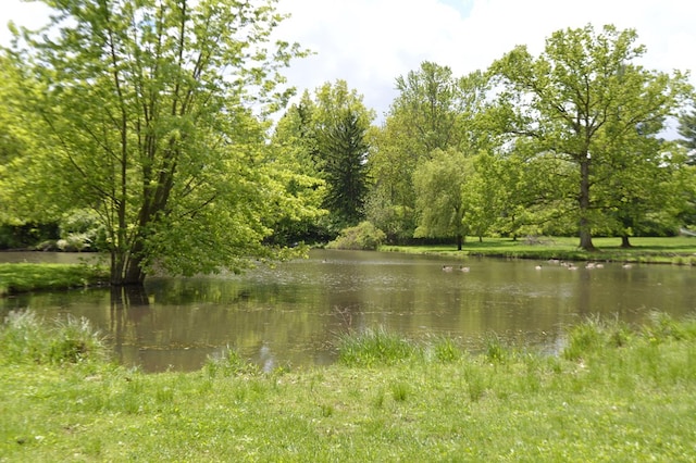 view of water feature