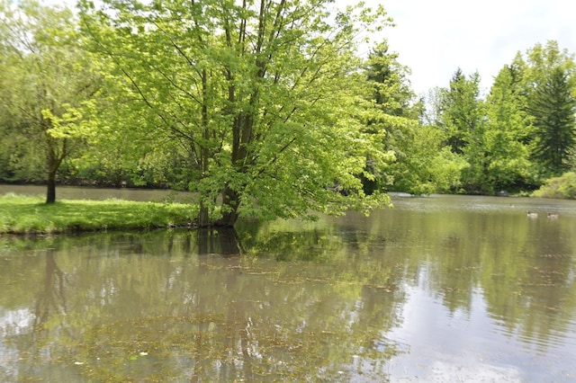 view of water feature