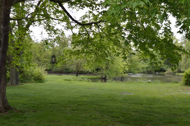 view of yard featuring a water view