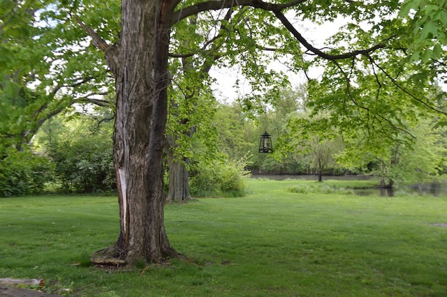 view of yard featuring a water view