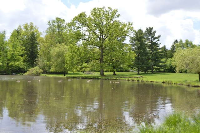 view of water feature