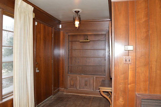 entryway with wood walls, dark wood-type flooring, and a wealth of natural light