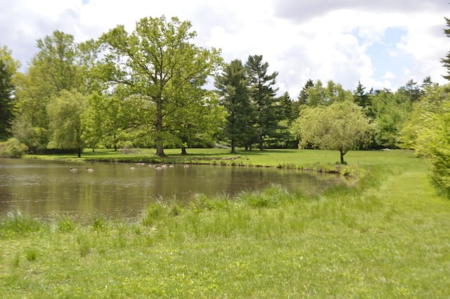 view of water feature