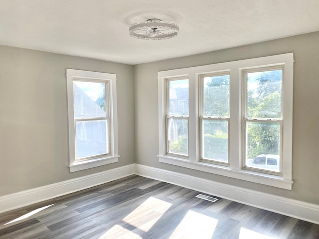 spare room with plenty of natural light and dark wood-type flooring