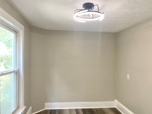 empty room with hardwood / wood-style floors