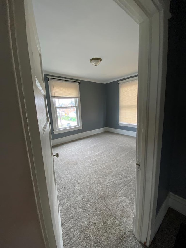 spare room with baseboards and carpet floors