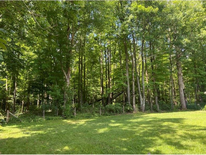 0 Banyan Ln, Mansfield, OH 44907 - photo 4