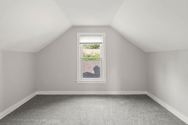 110 Hill St, Edison, OH 43320 - bonus room with carpet and vaulted ceiling