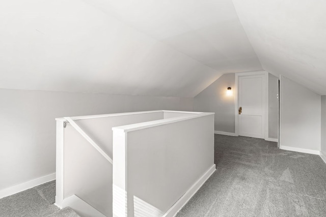110 Hill St, Edison, OH 43320 - bonus room featuring carpet flooring and vaulted ceiling