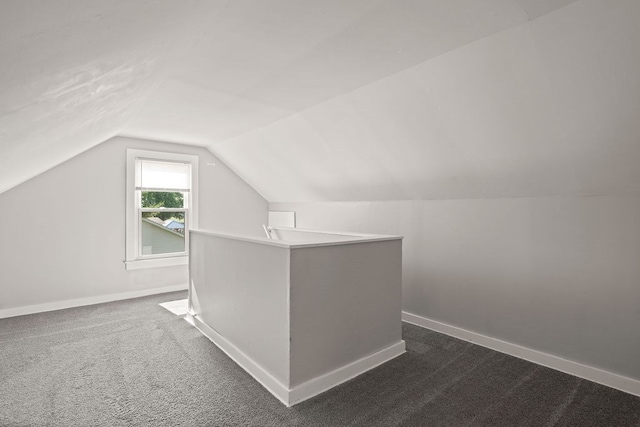110 Hill St, Edison, OH 43320 - additional living space with lofted ceiling and dark colored carpet