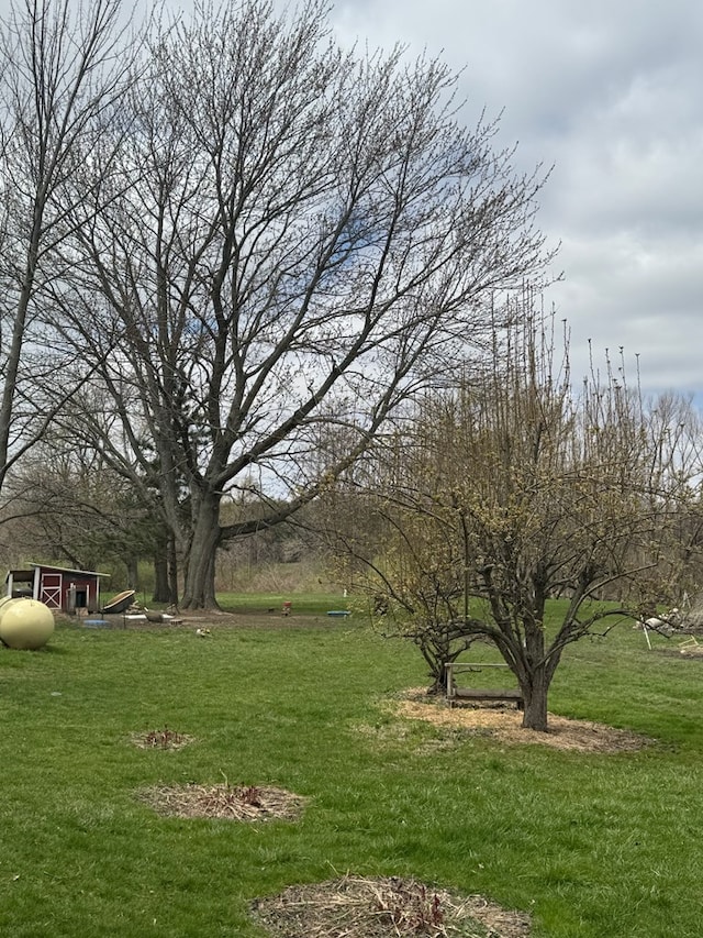796 US Highway 224, Willard, OH 44890 - view of yard