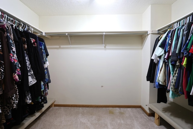 spacious closet featuring light colored carpet