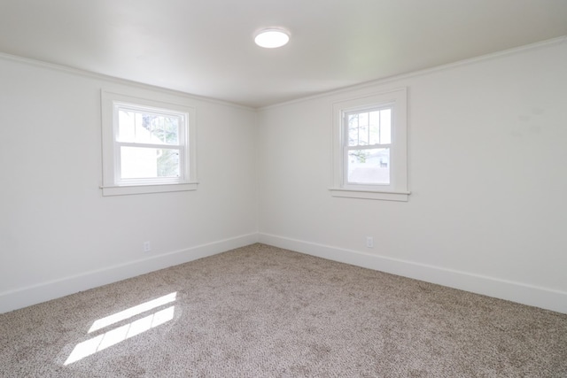 spare room with baseboards, ornamental molding, and carpet