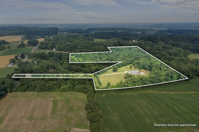 598 Bollinger Rd, Bellville, OH 44813 - photo 61