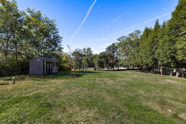 view of yard featuring a storage unit