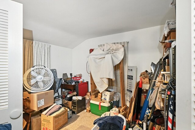 1369 Wilging Dr 1367, Mansfield, OH 44907 - view of storage