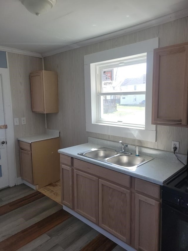 645 Wilson Ave, Marion, OH 43302 - kitchen with light wood-type flooring, ornamental molding, light countertops, a sink, and black range with electric stovetop