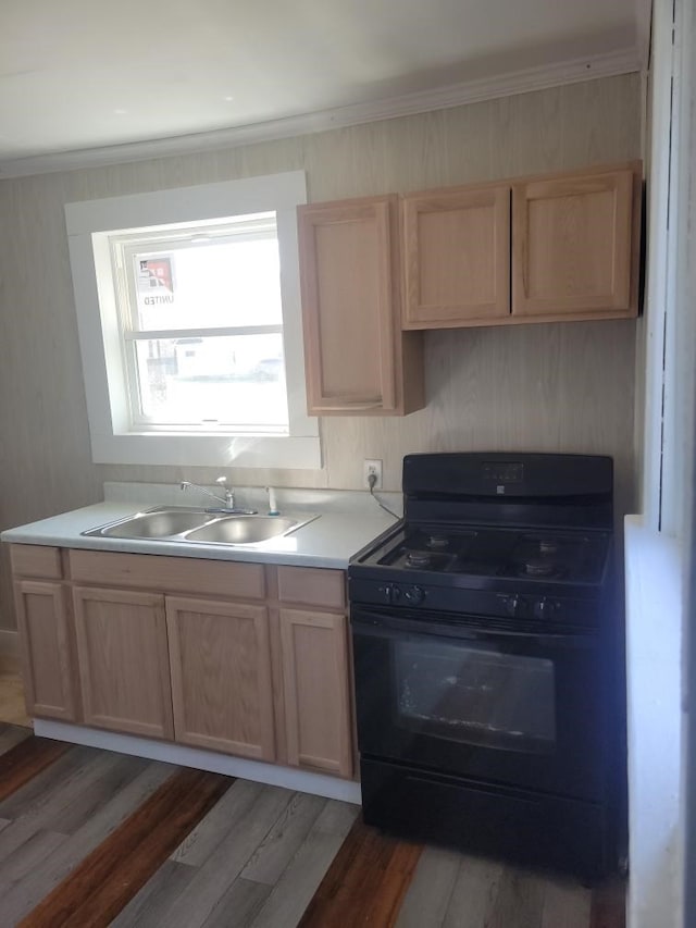 645 Wilson Ave, Marion, OH 43302 - kitchen featuring light wood-style floors, crown molding, black range with gas stovetop, light countertops, and a sink