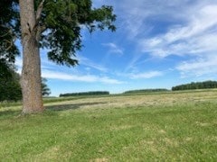 view of yard featuring a rural view