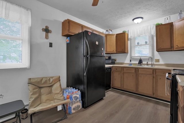 62 Brushwood Dr, Mansfield, OH 44907 - kitchen featuring black appliances, a sink, light wood-style floors, light countertops, and a textured ceiling