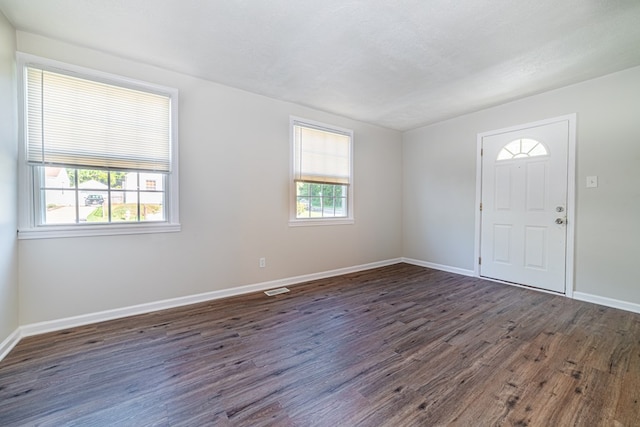 entryway with plenty of natural light, dark hardwood / wood-style flooring, and a textured ceiling