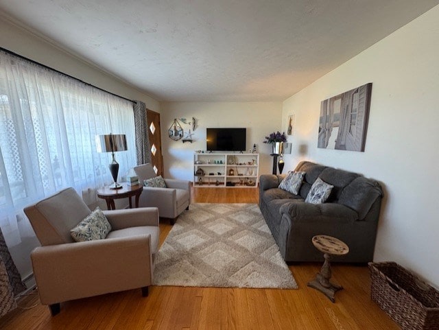 living area featuring wood finished floors