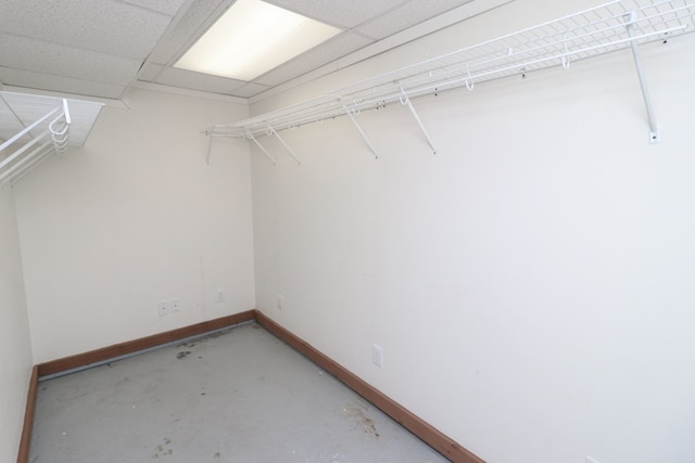 walk in closet featuring a paneled ceiling