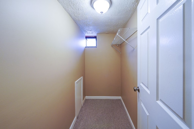 walk in closet with carpet flooring