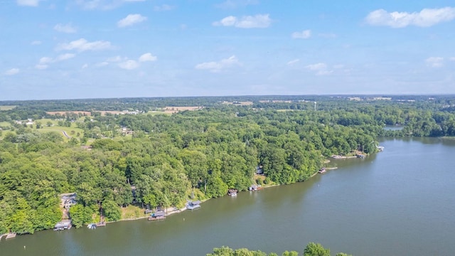 7326 State Route 19 Unit 27-30, Mount Gilead, OH 43338 - aerial view of property and surrounding area featuring a heavily wooded area and a large body of water