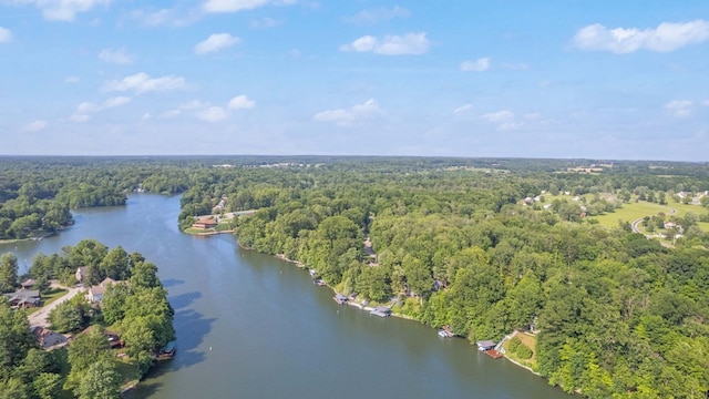 7326 State Route 19 Unit 27-30, Mount Gilead, OH 43338 - aerial view of a heavily wooded area and a nearby body of water