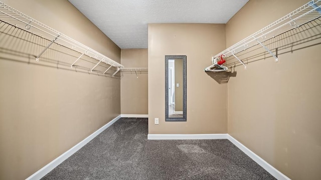 6761 Renie Rd, Bellville, OH 44813 - photo 29