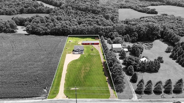 6761 Renie Rd, Bellville, OH 44813 - photo 2