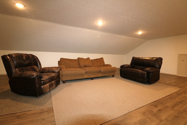 4107 State Route 113, Milan, OH 44846 - living room with lofted ceiling, a textured ceiling, wood finished floors, and recessed lighting