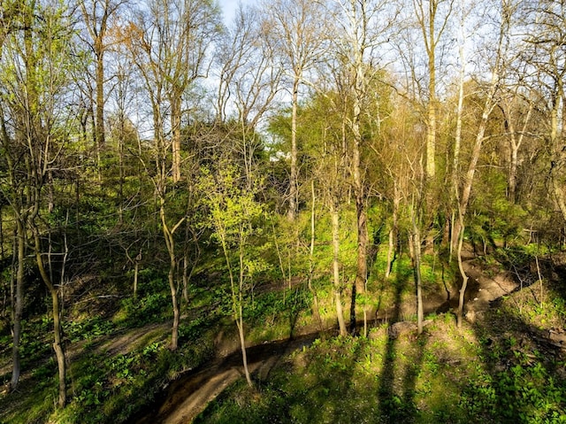 4107 State Route 113, Milan, OH 44846 - view of nature with a forest view