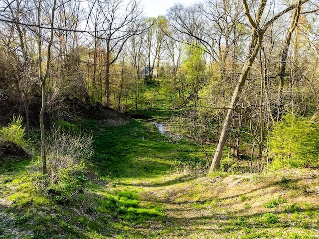 4107 State Route 113, Milan, OH 44846 - view of local wilderness