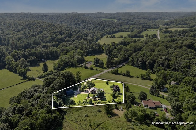 4185 Possum Run Rd, Bellville, OH 44813 - photo 46