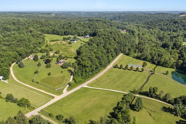 4185 Possum Run Rd, Bellville, OH 44813 - photo 45