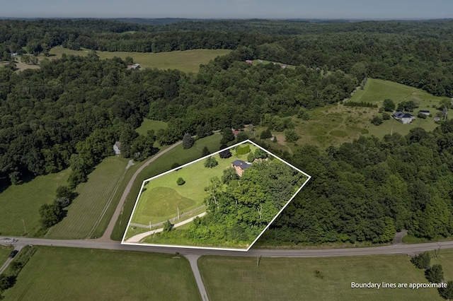 4185 Possum Run Rd, Bellville, OH 44813 - photo 44