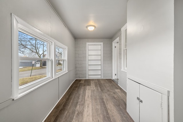 hallway featuring dark wood-style floors