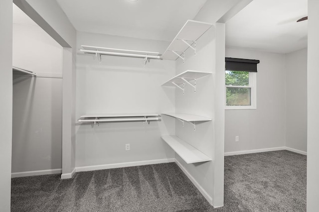 828 Longmeadow Ln, Findlay, OH 45840 - spacious closet with carpet flooring