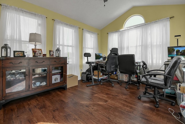 office space with a textured ceiling, dark hardwood / wood-style flooring, and vaulted ceiling